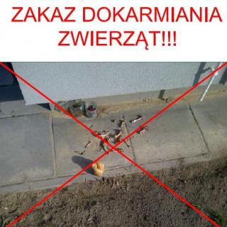 zakaz dokarmiania zwierzat