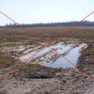 zarzadzanie przyroda - modlin
